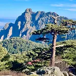 Villa Sheilanu - Cala Rossa -