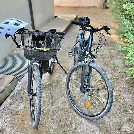 Sheilanu - Cala Rossa - * Lecci