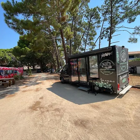 Sheilanu - Cala Rossa - Lecci