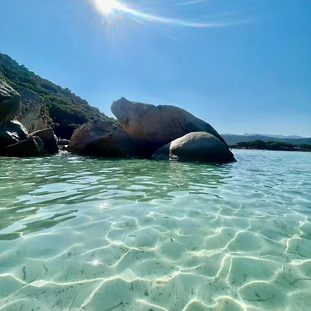 Sheilanu - Cala Rossa - * Lecci