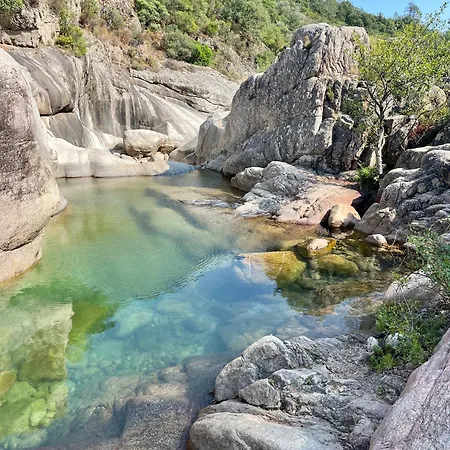 Sheilanu - Cala Rossa - * Lecci