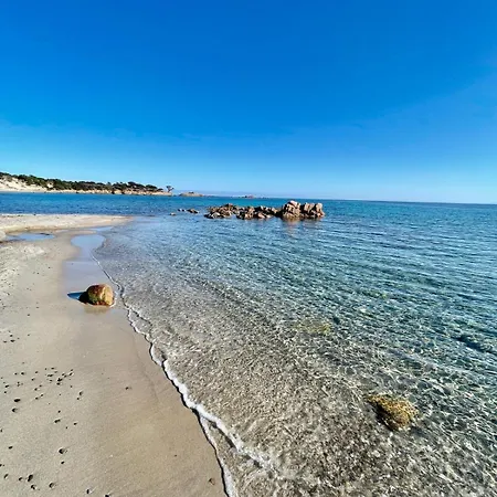 Sheilanu - Cala Rossa - * Lecci