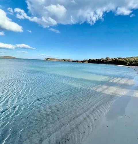 Sheilanu - Cala Rossa - Lecci