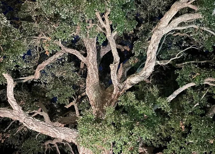 Sheilanu - Cala Rossa Villa *